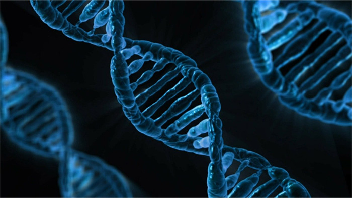 Medicatie afstemmen op DNA