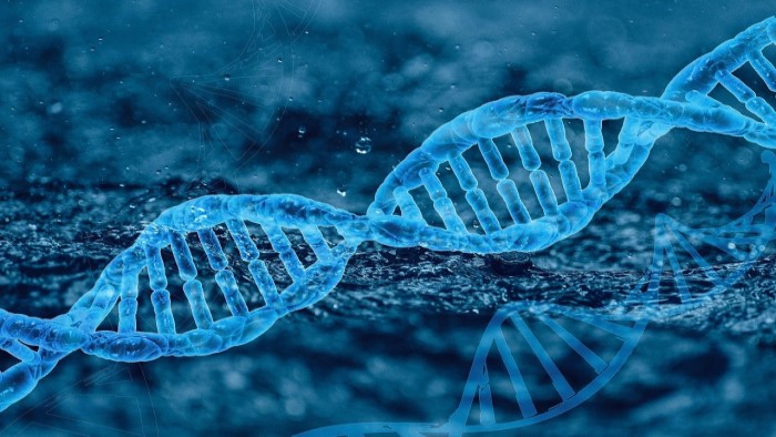 Epigenetica